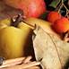 Bodegón de frutos de otoño, Fotografia Digital Natureza Morta original por Cecilia Gilabert