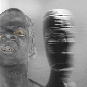 Emerge in the Light, original Still Life Digital Photography by Nuno  Silas
