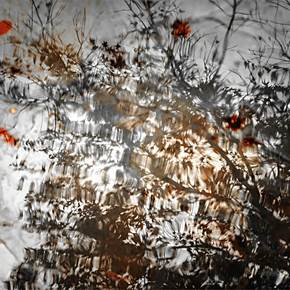 Beauty Of Abstraction, original Hombre Cosa análoga Fotografía de Hua  Huang