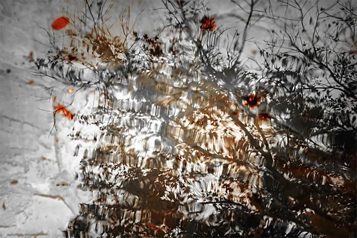 Beauty Of Abstraction, original Hombre Cosa análoga Fotografía de Hua  Huang