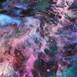 Rosette Nebula: Blooming Darkness, original Animaux Technique mixte La peinture par Tiffani Buteau