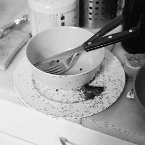 Ants attack a dish, original Man Analog Photography by Yorgos Kapsalakis