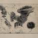 Estudos , Desenho e Ilustração Água forte Figura Humana original por Flor de Ceres Rabaçal