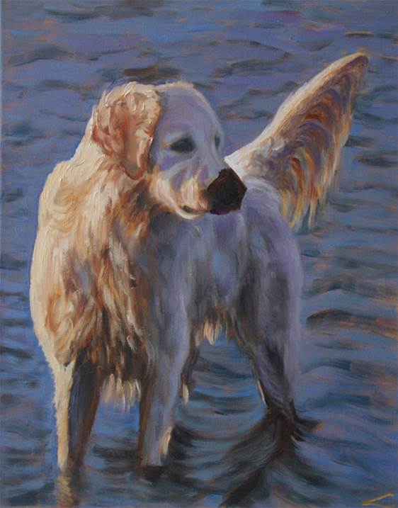 Dog at the sea, original Animals Oil Painting by Elena Sokolova