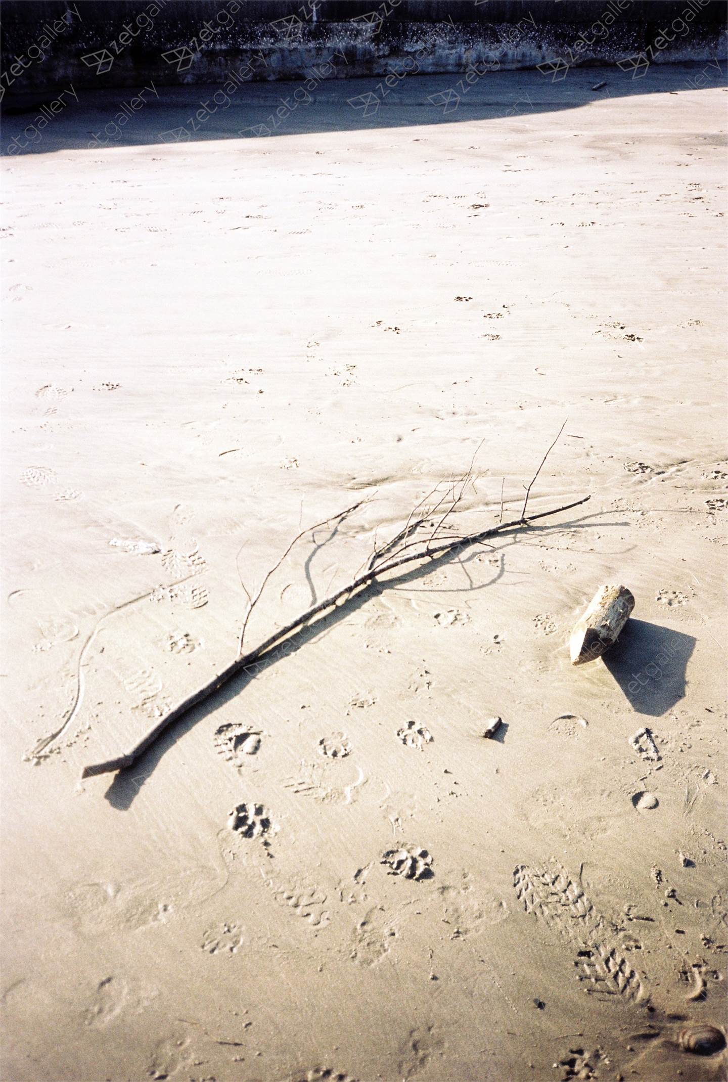One Day 9, original Abstrait Analogique La photographie par Oleksandra Skliarenko