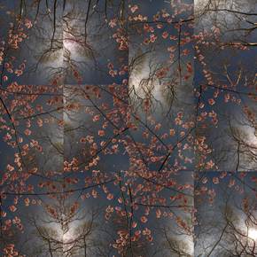 Early Spring - Cherry Blossom Bloom Opus 2, original Naturaleza Digital Fotografía de Shimon and Tammar Rothstein 