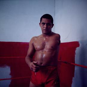 “SEM” SANS GARDE, Fotografia Digital Natureza Morta original por Miguel Rio Branco