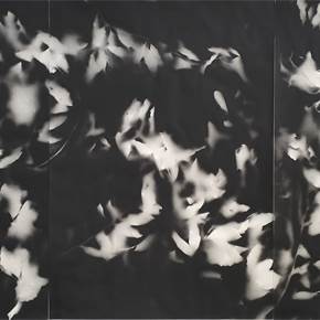 Pelas Sombras... I, original Nature Acrylic Drawing and Illustration by Maria Manuel